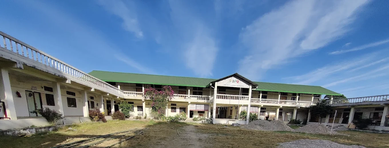 Apex Professional University, Pasighat