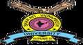 Bharati Vidyapeeth Deemed University Amplify Department of Information Technology and Management
