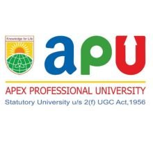 Apex Professional University, Pasighat